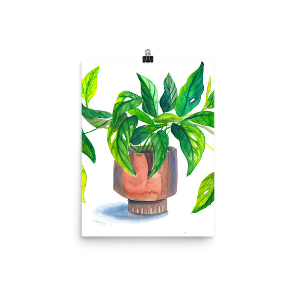 Swiss Cheese Plant Art Print