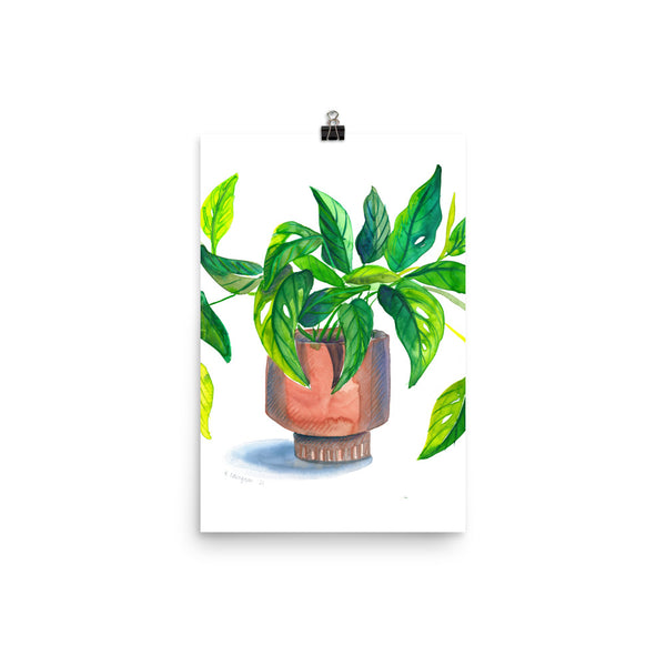 Swiss Cheese Plant Art Print